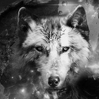 مرتضى الفتلاوي