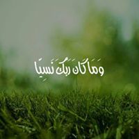 Noha Mohamed