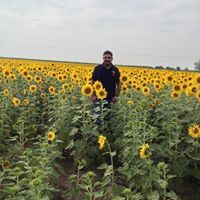Sameer Sardana