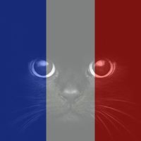 เดี๋ยวเดี๋ยว' เหมียวก็มา