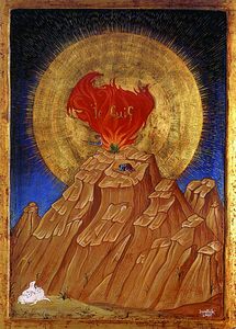 Vladimir