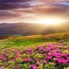 سناء الجعبري