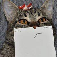 กนกพร กนกพร