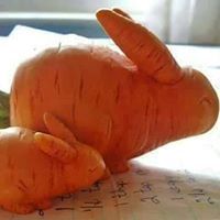 عماد الحفنى