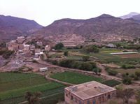 م.ابراهيم الشيبه