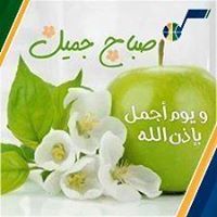 حاكونا بطاطا