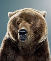 Carlos