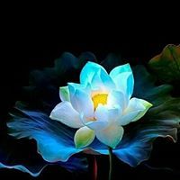 عبدالله الجيلي