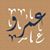 Amr Elshokary