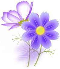 นิพาพร สนประเสริฐ