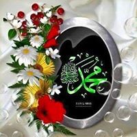 ضياء القاضي