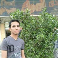 زين المالكي