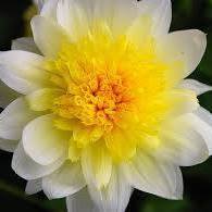 اميرة القصر