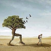 Ahmed Elwasif