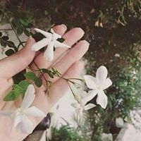 Khloud Hashem
