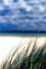 Gabrielle Gawne-Kelnar