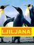 Ljiljan...