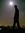 Umesh W...