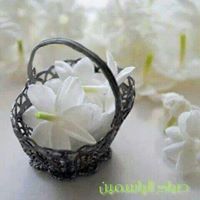Wala'A Safiyeh
