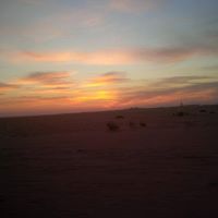 محمد الحمادي