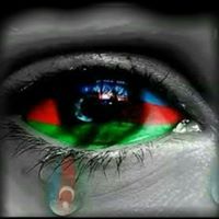 Elshad Huseynov