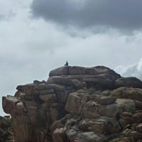 Б. Отгонбаатар