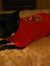 Dottie ...