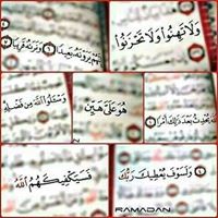 Amera Magdy