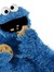 Cookie Monster