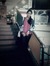 Dhanash...