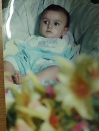 Heba Rashed