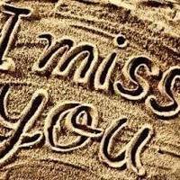 Muhammad Adel Altohamy