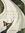 S.L. Northey | 40 comments