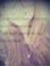 Adelina...