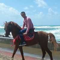 Elrasam Mhs