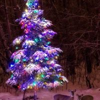 Lucinda Epple Capozzi