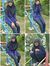 Arida N...