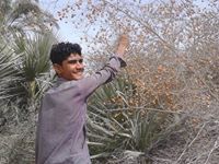Shareef Izat