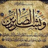 محمد الفرجانى