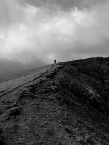 Светла Тъмна