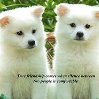 Sandhya Vaidhyanathan