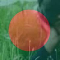 বিমুক্ত জালাল