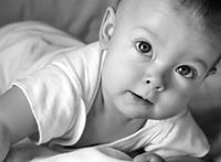 محمد الامين