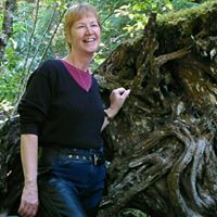 sue stephenson