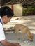 Kushal Hn