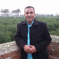 علي محمد الفقي