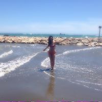 Alice Valle