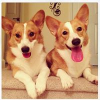 Stephanie Colas-Salgado