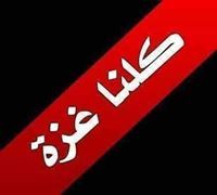 محمد الكفراوي