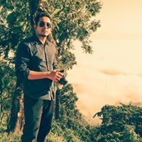 Pallab Tushar